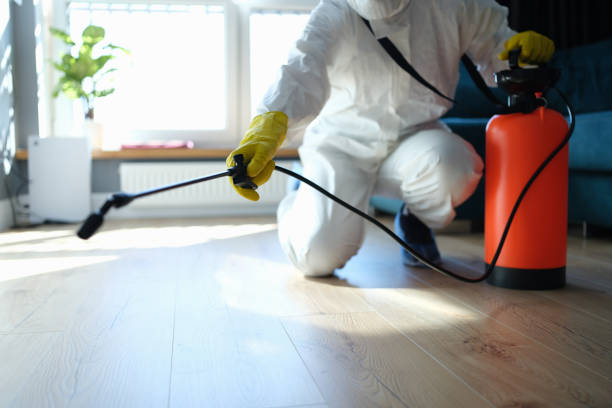 Reliable Odor Removal contractor in Blairsville, PA by Trauma Clean Pros
